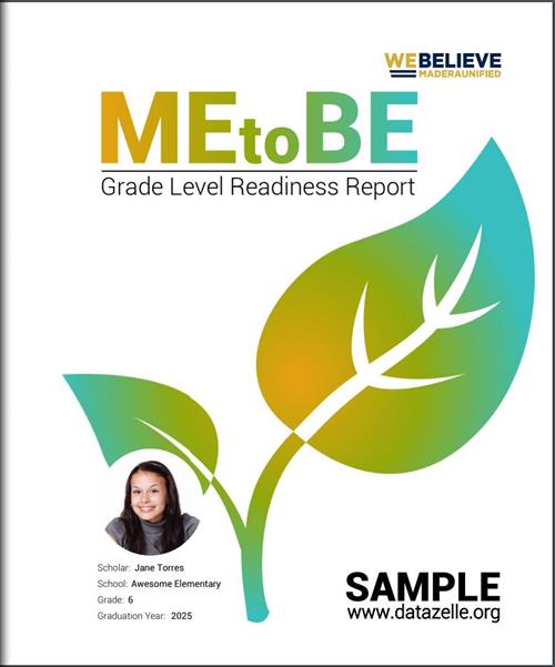 MEtoBE Sample Report 